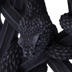 Serpent's Worship