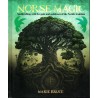 Norse Magic